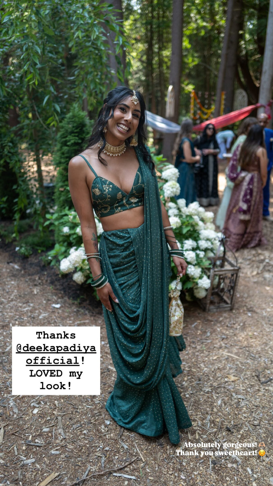 EVE CROPTOP NORA SAREE SET