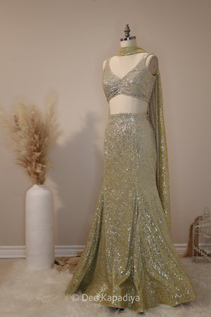 A WHOLE LEWK MERMAID LEHENGA SET with CUTE CROPTOP