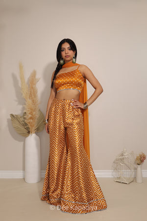 NAKHRA GHARARA SET with PATAKA CROPTOP