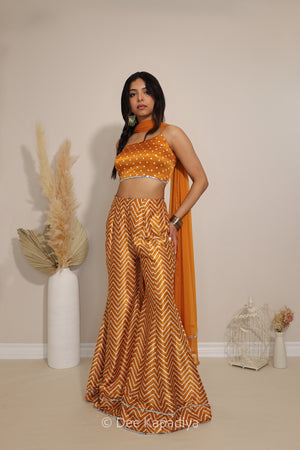 NAKHRA GHARARA SET with PATAKA CROPTOP