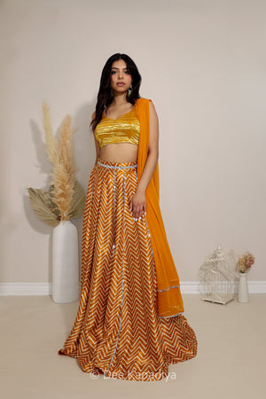TAMASHA LEHENGA SET with TAMASHA CROPTOP