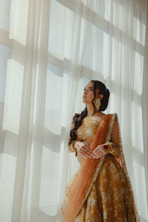 Vaani_CT_Jodha_lehenga_set_in_amber_sienna-pose15_campaign