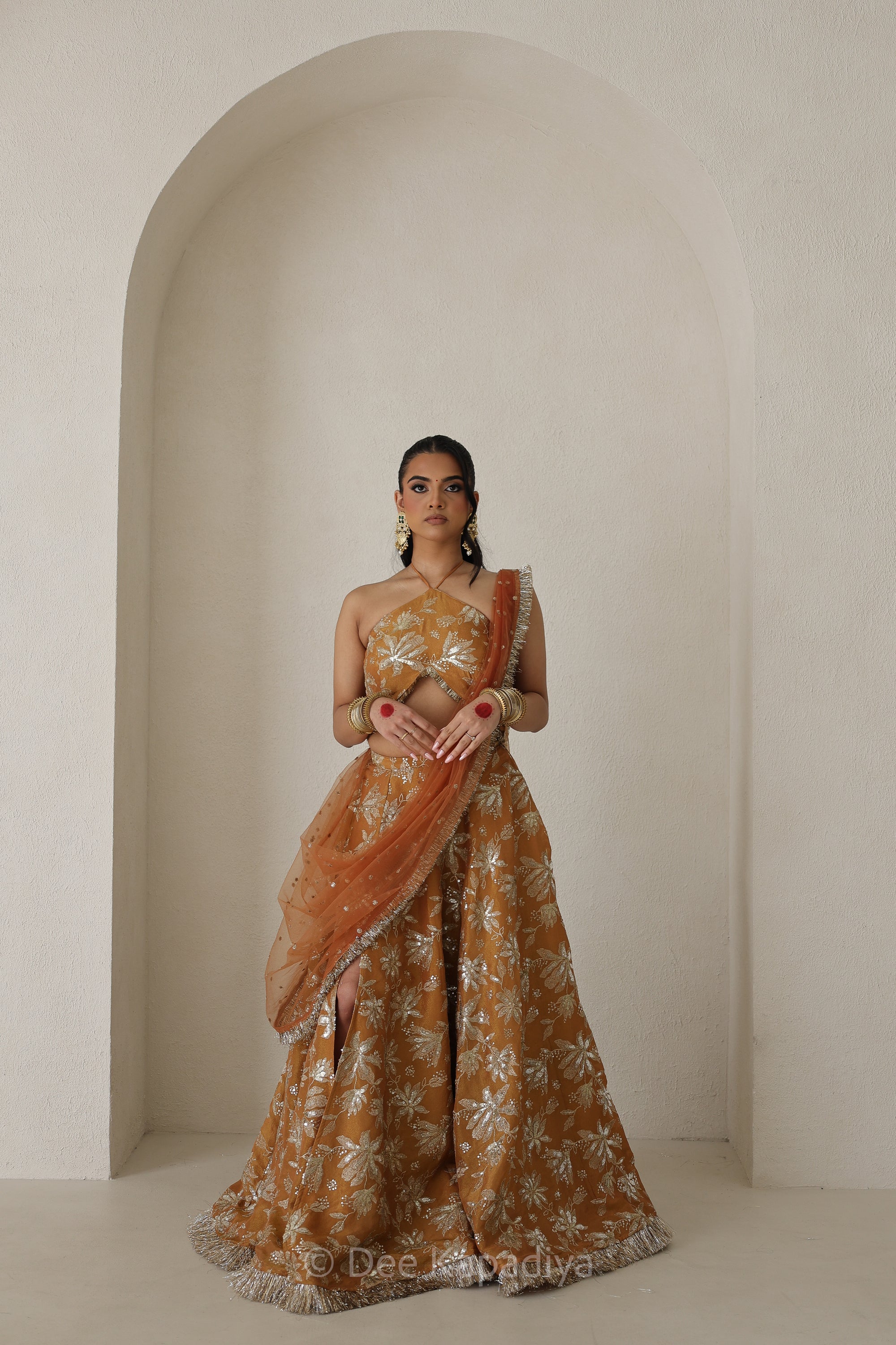 Vaani Croptop Jodha Lehenga in Amber Sienna pose 1