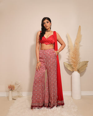 Deep side pockets on Bahaar Gharara in geometric ajrakh print gajji silk — Dee Kapadiya Rooted in Ajrakh Vol. I Sukoon
